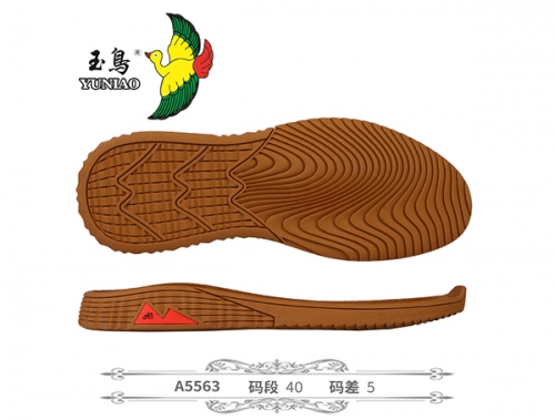A5563