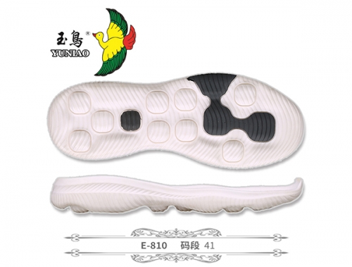 E-810