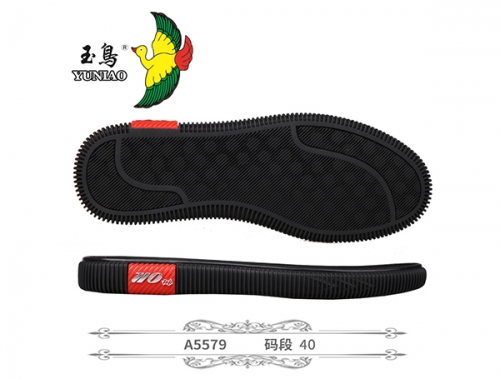 A5579