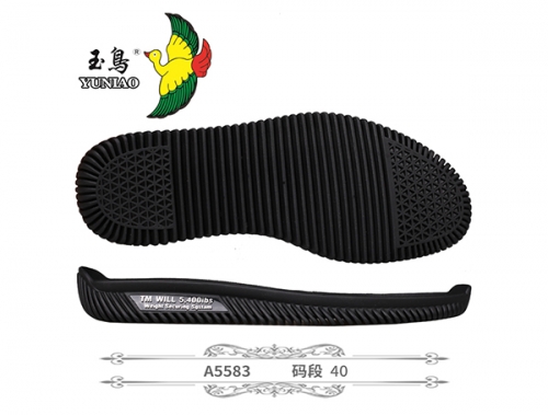 A5583