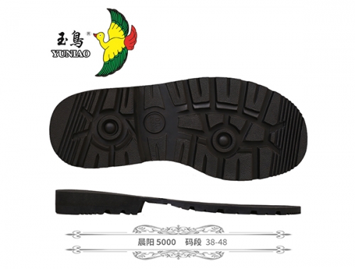 晨陽(yáng)5000