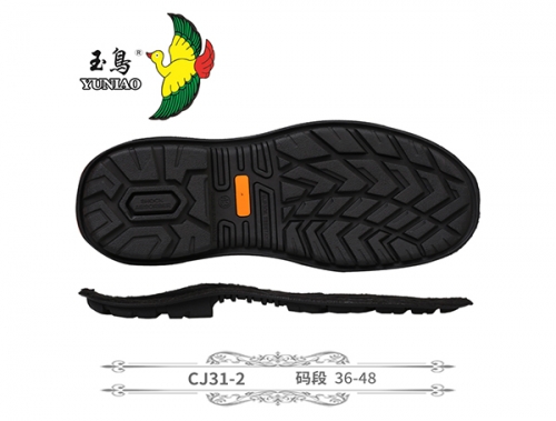 隨州CJ31-2