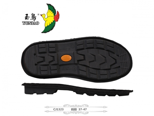 隨州CJ1323
